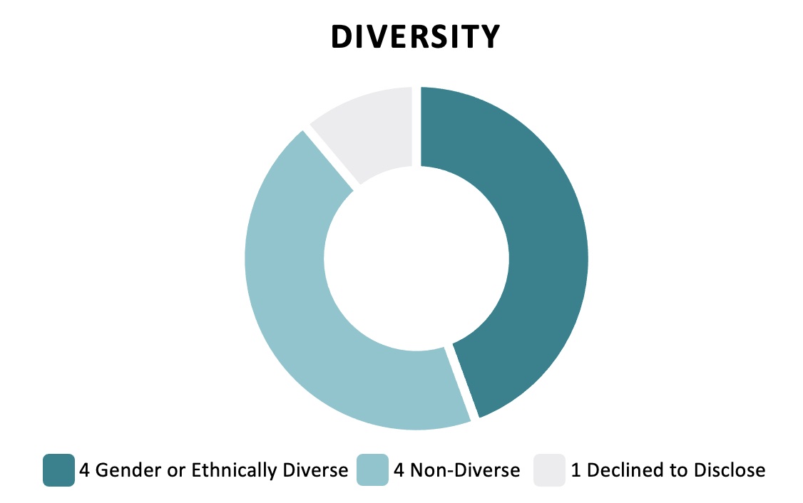 Diversity Chart.jpg
